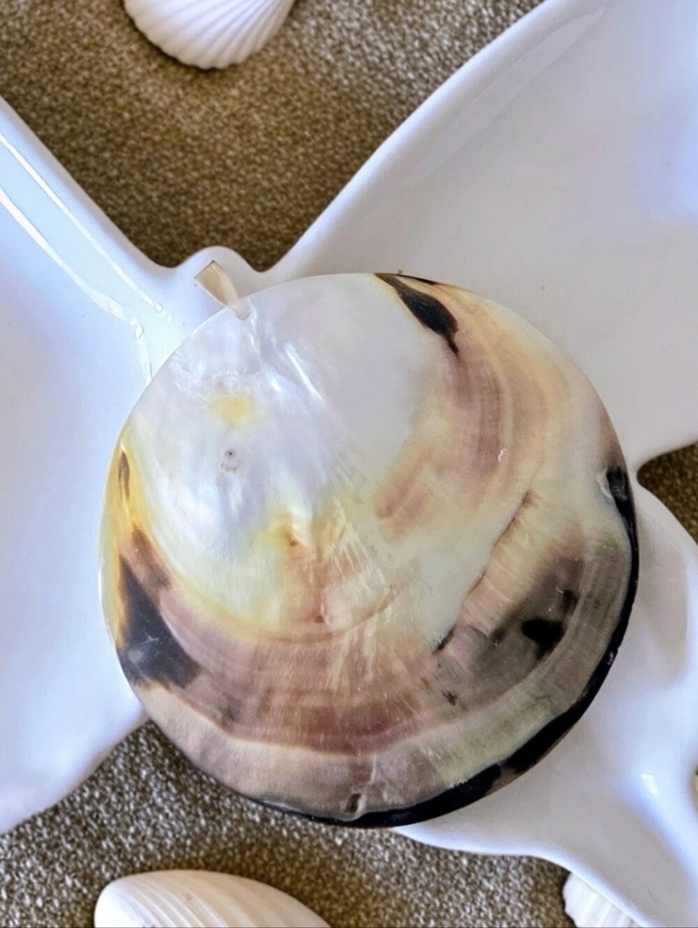 Iridescent Shell Pendant With 14K Gold Plated 18 Inch Necklace - NWT